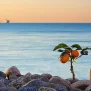 Абхазия Черное море 2024 навигационное изображение
