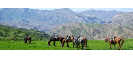 АВИАТУР Лучше гор- могут быть только горы